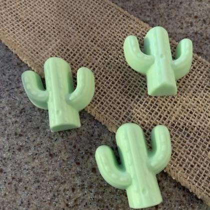Organic Handmade Soap, Natural Cactus Soap Bar,..